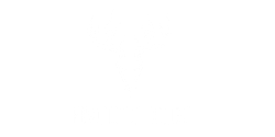 Revolution Bows White